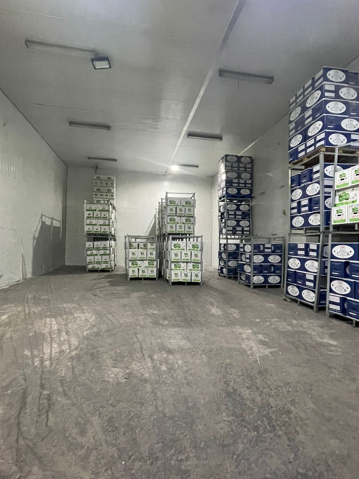 Cold storage room with pallets