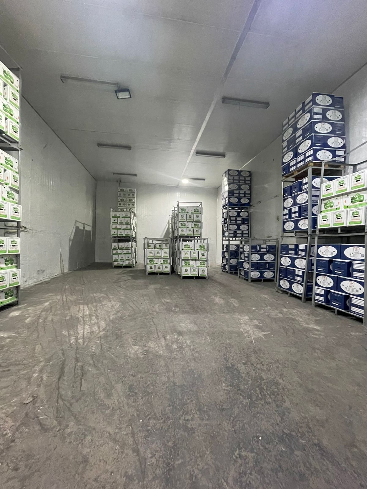 Multi-tier pallet storage system